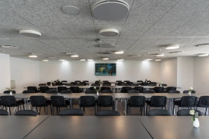 DSC_4467 selskabslokaler ringsted